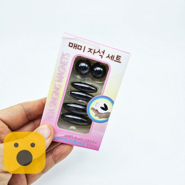Magnet Set